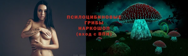 ешки Алексеевка