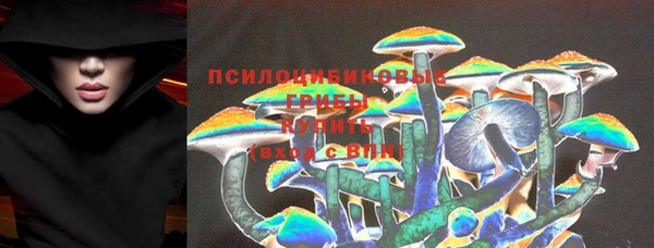 ешки Алексеевка