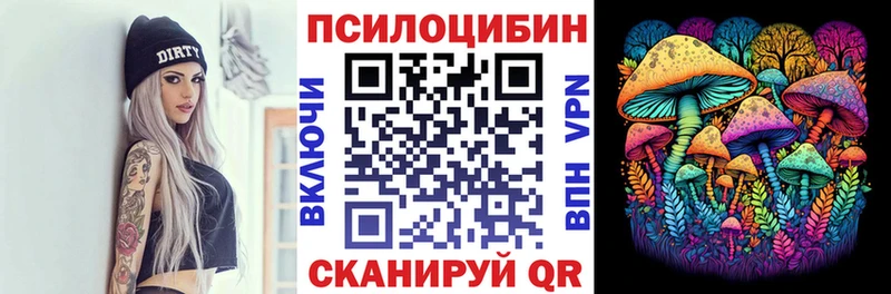 магазин продажи наркотиков  Бежецк  Псилоцибиновые грибы прущие грибы 
